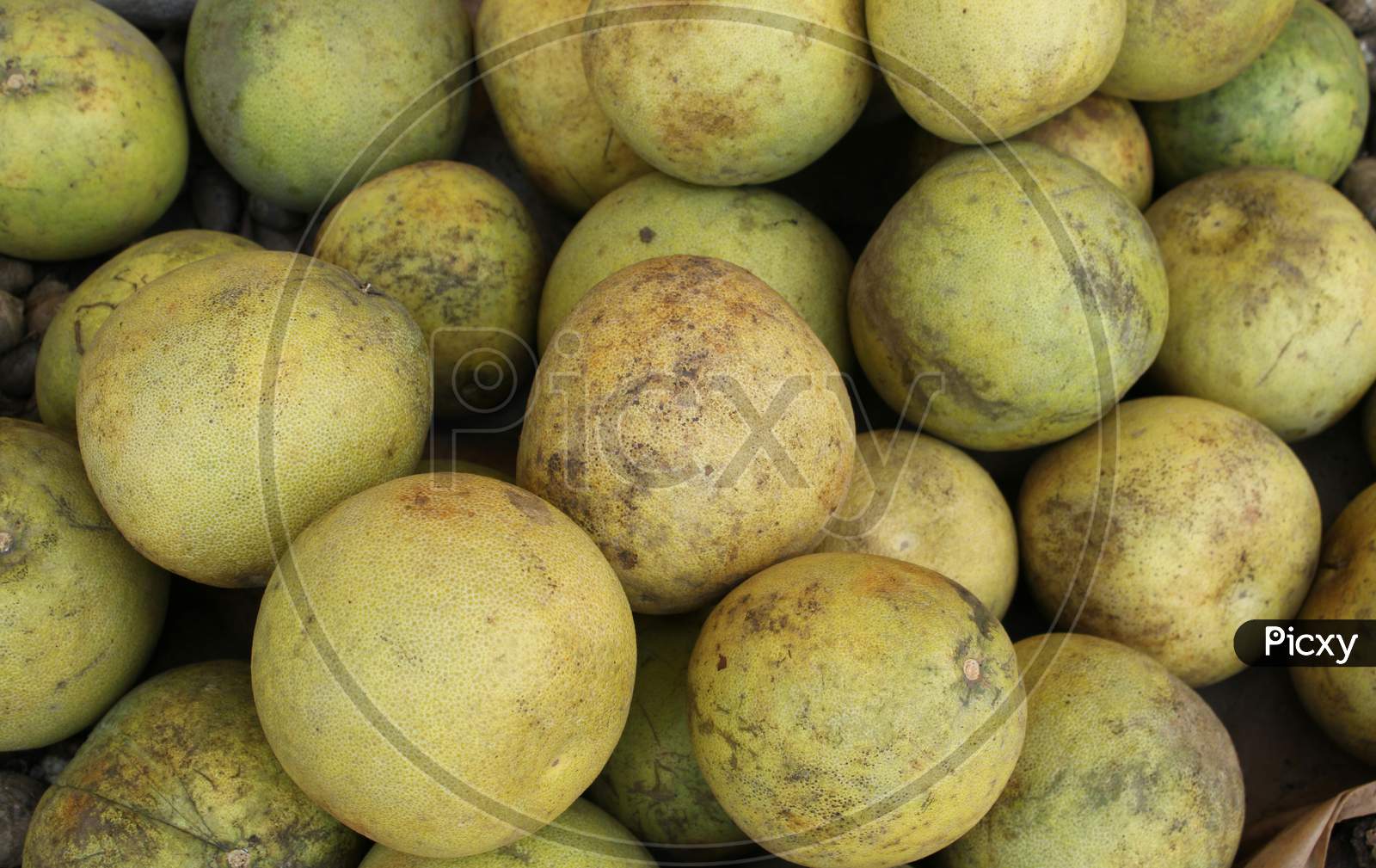 Pyrus, Many Fresh Pears In The Shop With Pears Background.