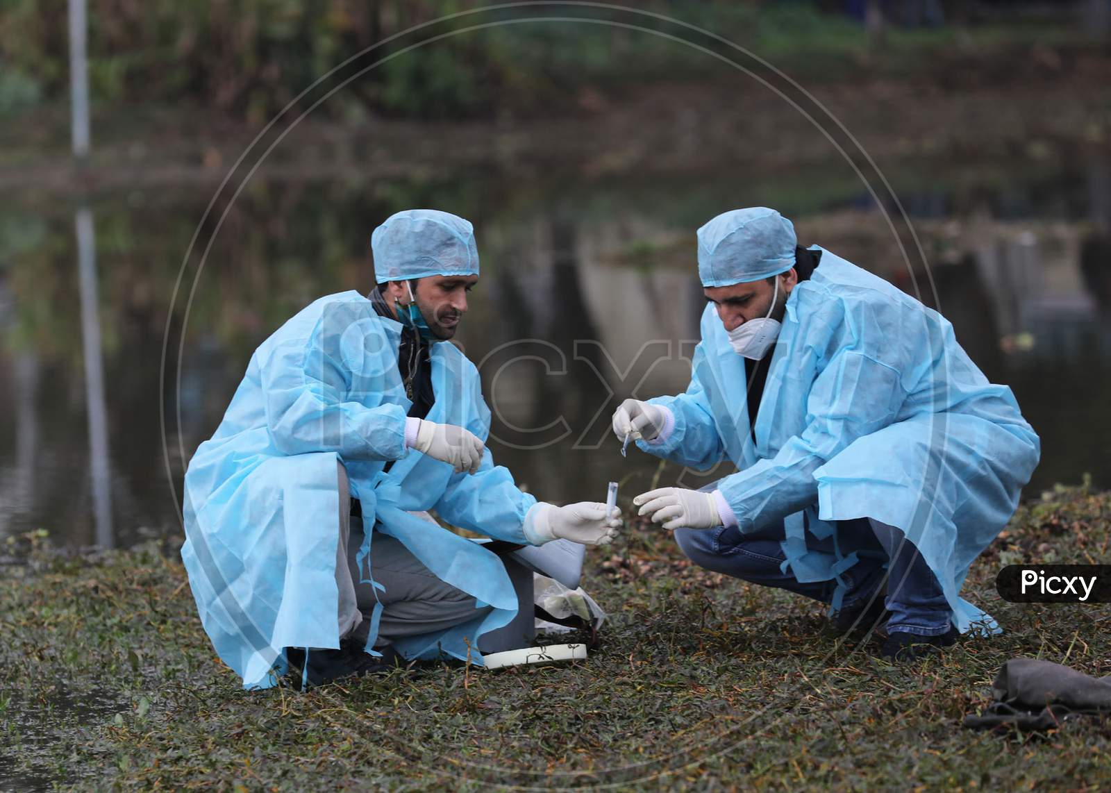 Team of experts collecting samples at Gharana wetland in the outskirts of Jammu ,An alert has been sounded following detection of bird flu cases ,5 Jan,2021.