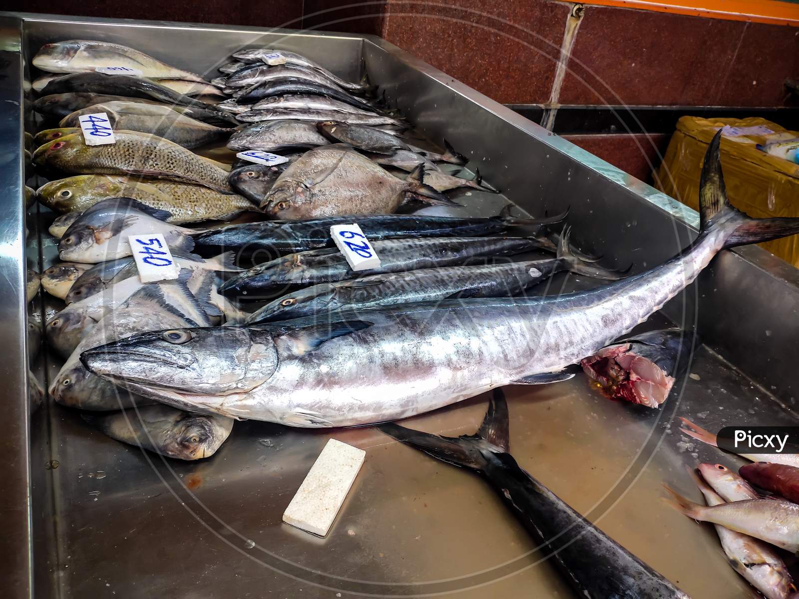 Seafood Market - Fresh Sea Fishes On Fish Market With Mentioned Rate Per Kg. Spanish Mackerels