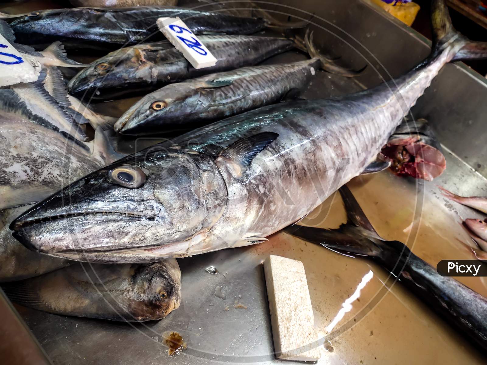 Seafood Market - Fresh Sea Fishes On Fish Market With Mentioned Rate Per Kg. Spanish Mackerels