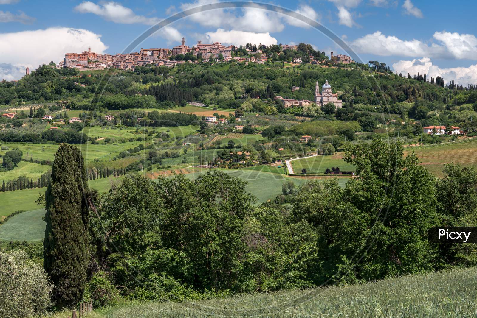 View Of Montepulciano