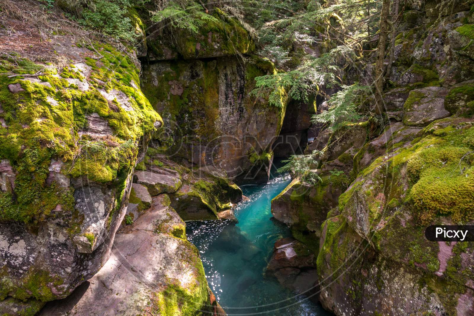 Looking Into Avalanche Creek