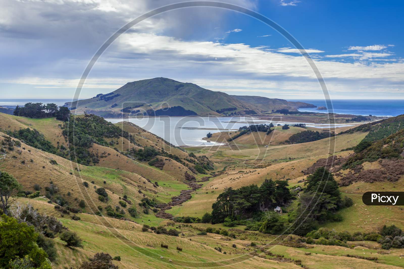 The Otago Peninsula New Zealand