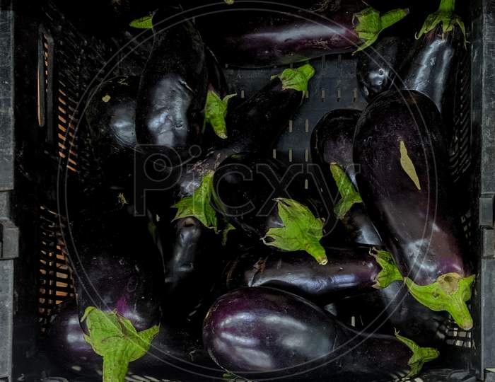 Collection Of Eggplant In A Store For Sale.