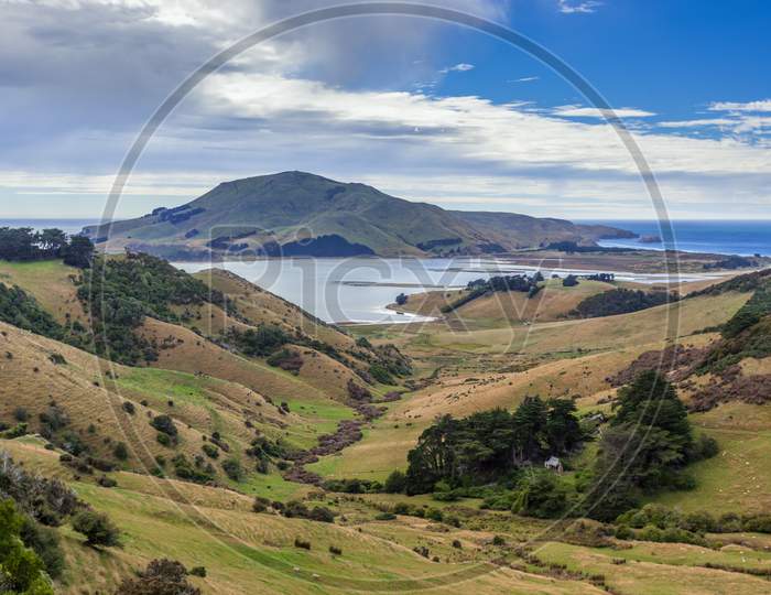 The Otago Peninsula New Zealand