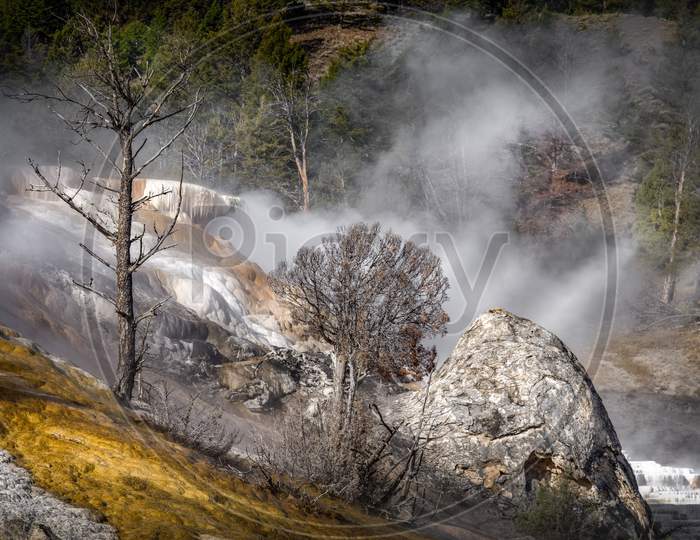 Mammoth Hot Springs In Yellowstone National Park