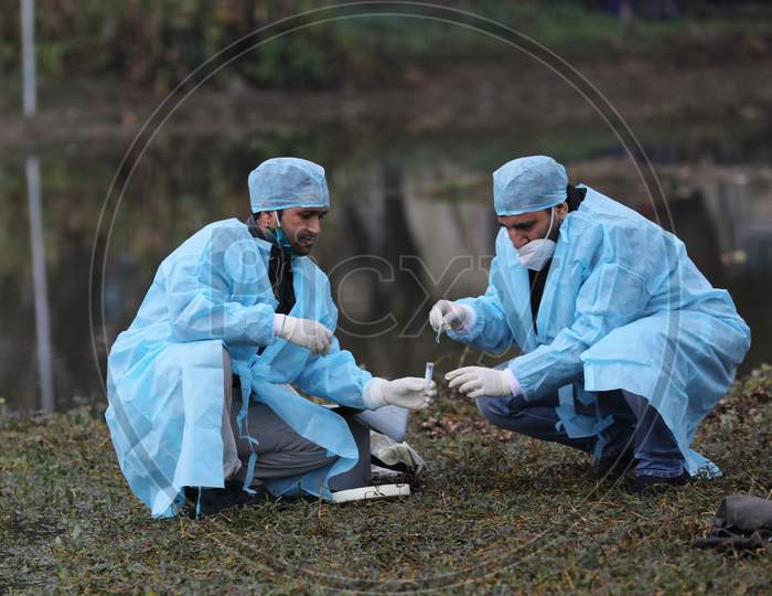 Team of experts collecting samples at Gharana wetland in the outskirts of Jammu ,An alert has been sounded following detection of bird flu cases ,5 Jan,2021.