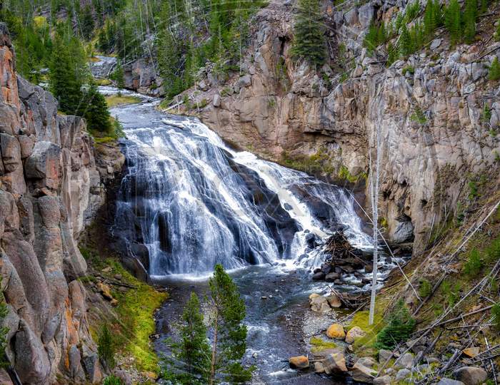 Gibbon Falls In Yellowstone National Park