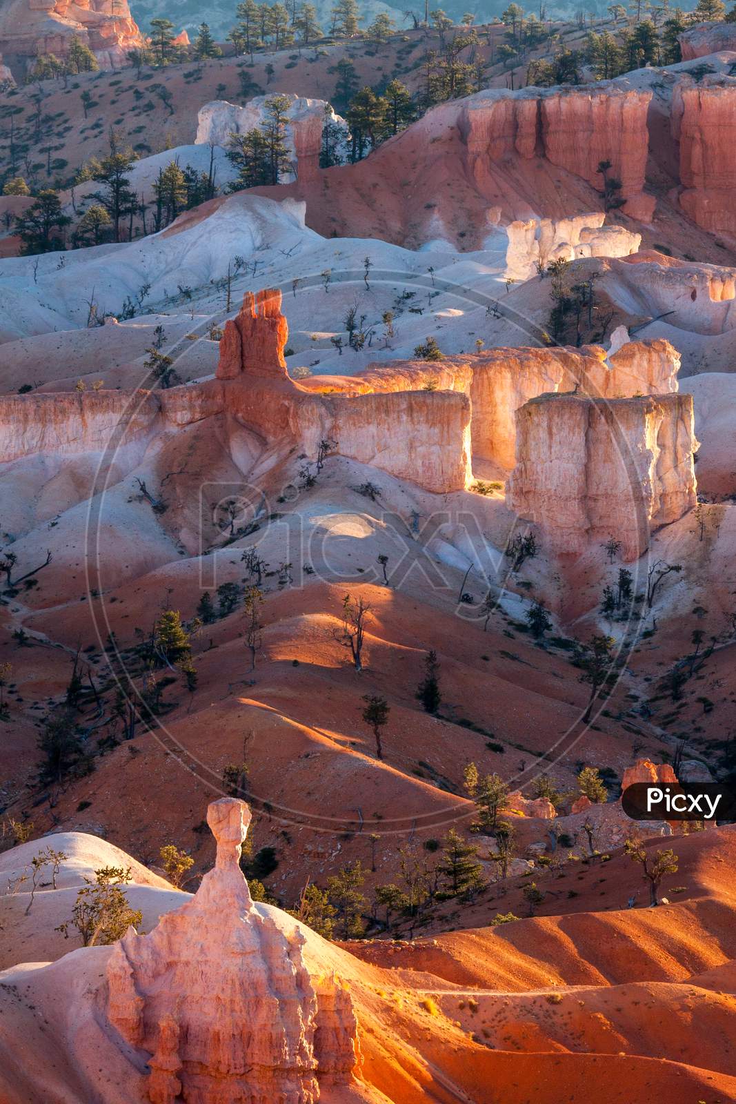 Scenic View Of Bryce Canyon