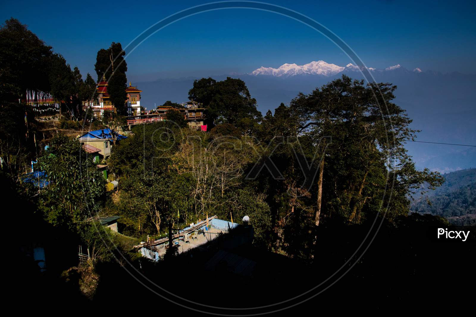 Warm morning sunrays in the Hills of Darjeeling in new year 2021