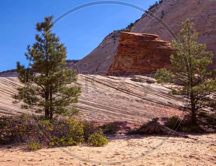 Strange Rock Formation And Checkerboard Mesa In Zion