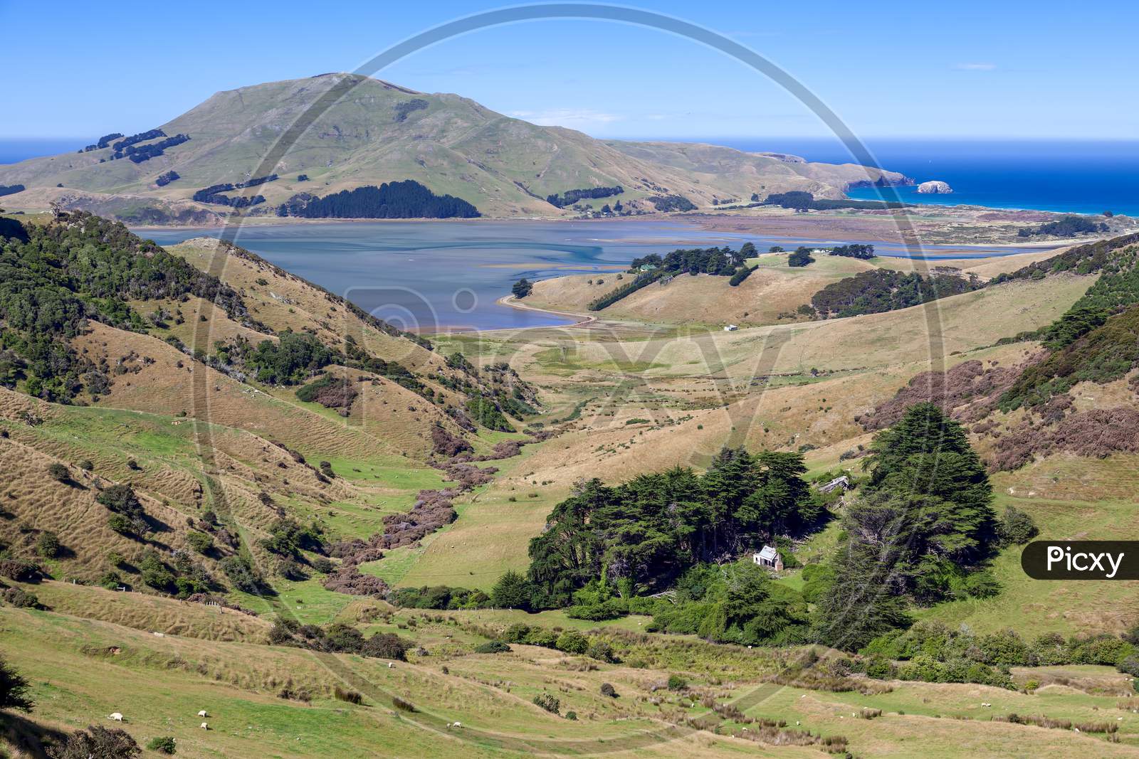 Scenic View Of The  Countryside In The Otago Peninsula