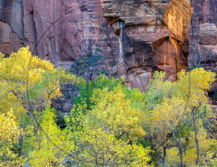Piulpit Rock In Zion National Park Utah