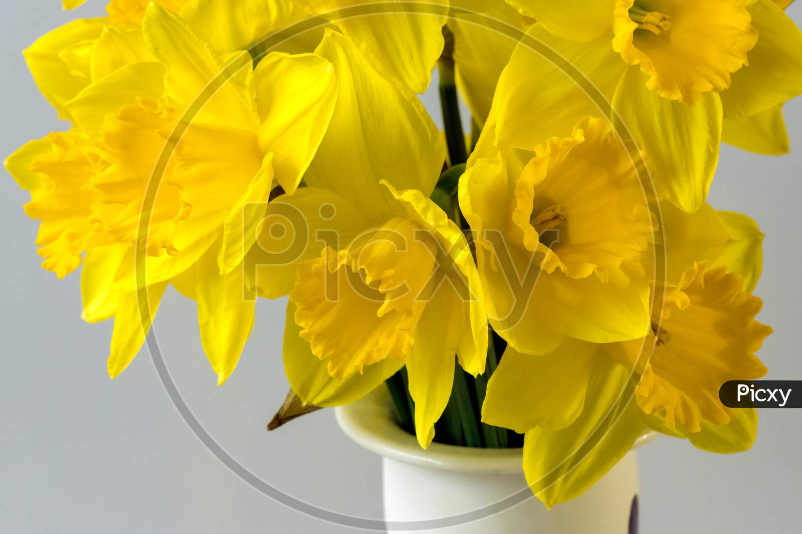 A Bunch Of Of Golden Daffodils In A Decorated Ceramic Vase