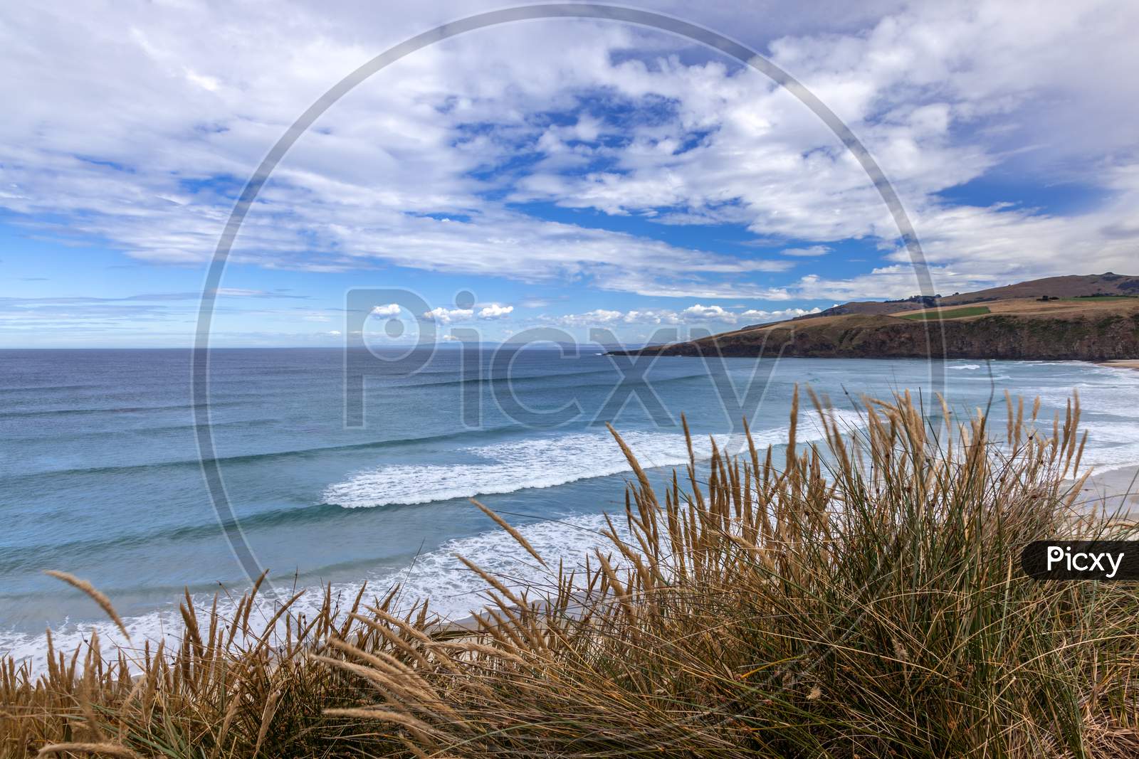 View Of Sandfly Bay In The South Island Of New Zealand