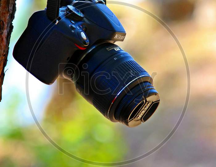 DSLR Camera in pines