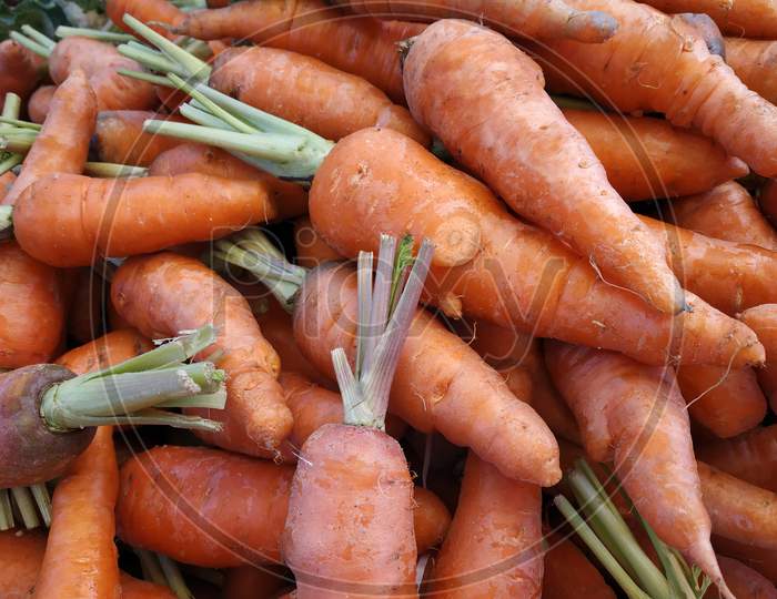 Close up view of fresh Carrots