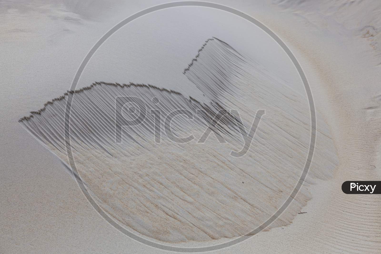 Sand Dune At Sandfly Bay South Island New Zealand