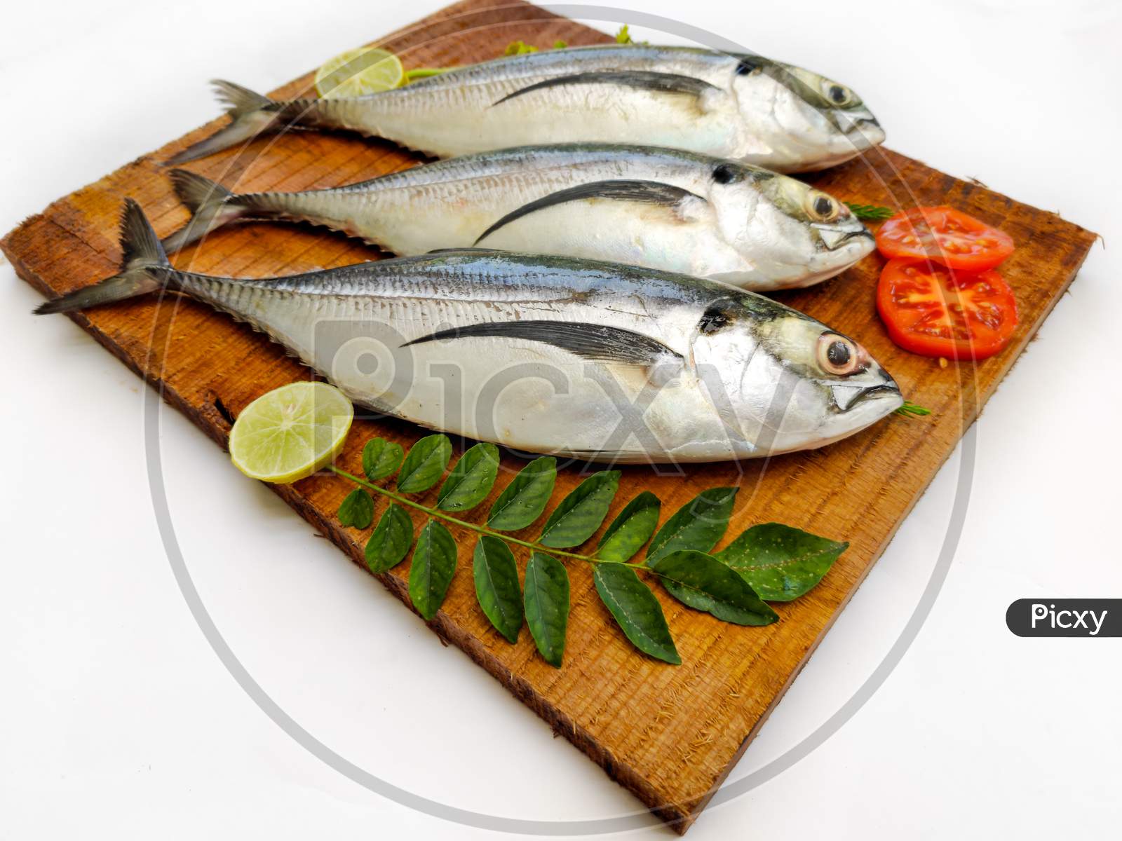 Fresh Finletted Mackerel Fish (Torpedo Scad) Decorated With Herbs And