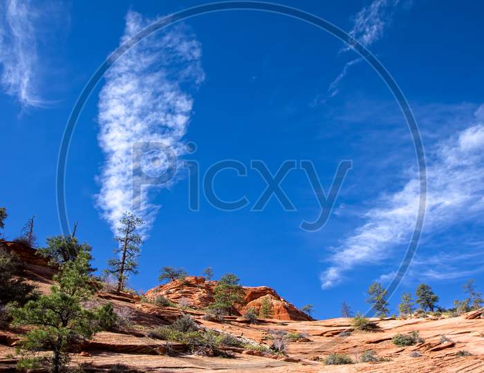 Vertical Cloudscape In Zion