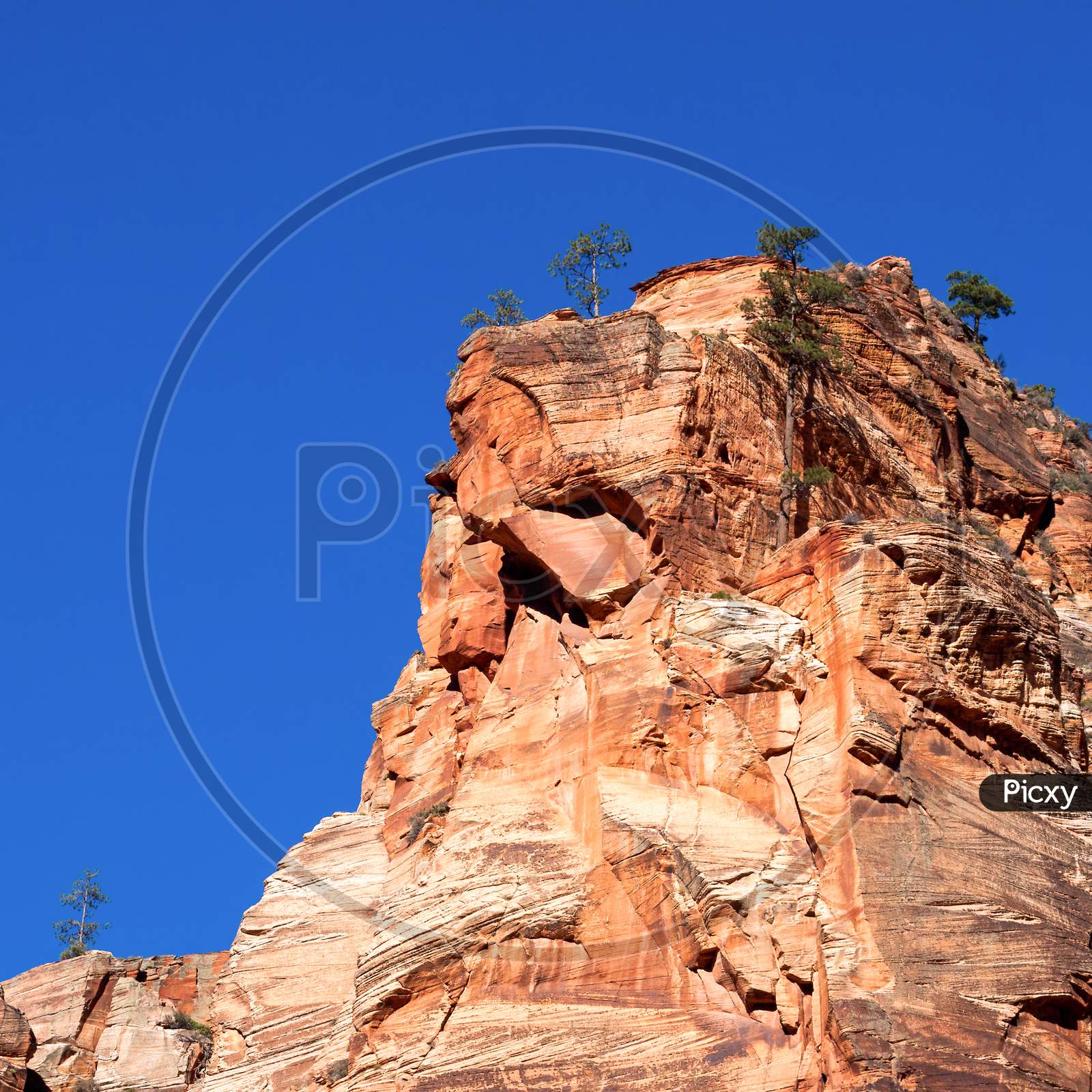 Rocky Outcrop In Zion National Park