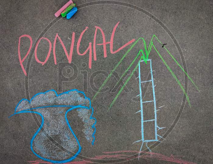 The Inscription Text On The Grey Board, Pongal And Handdrawn Sugarcane, Pongal Pot. Using Color Chalk Pieces.