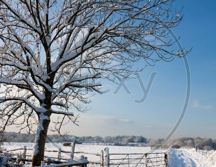 Winter Scene In East Grinstead