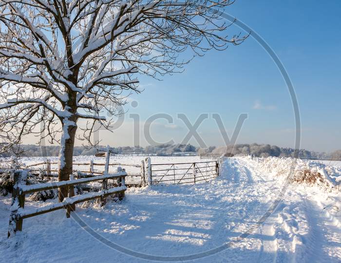 Winter Scene Near East Grinstead