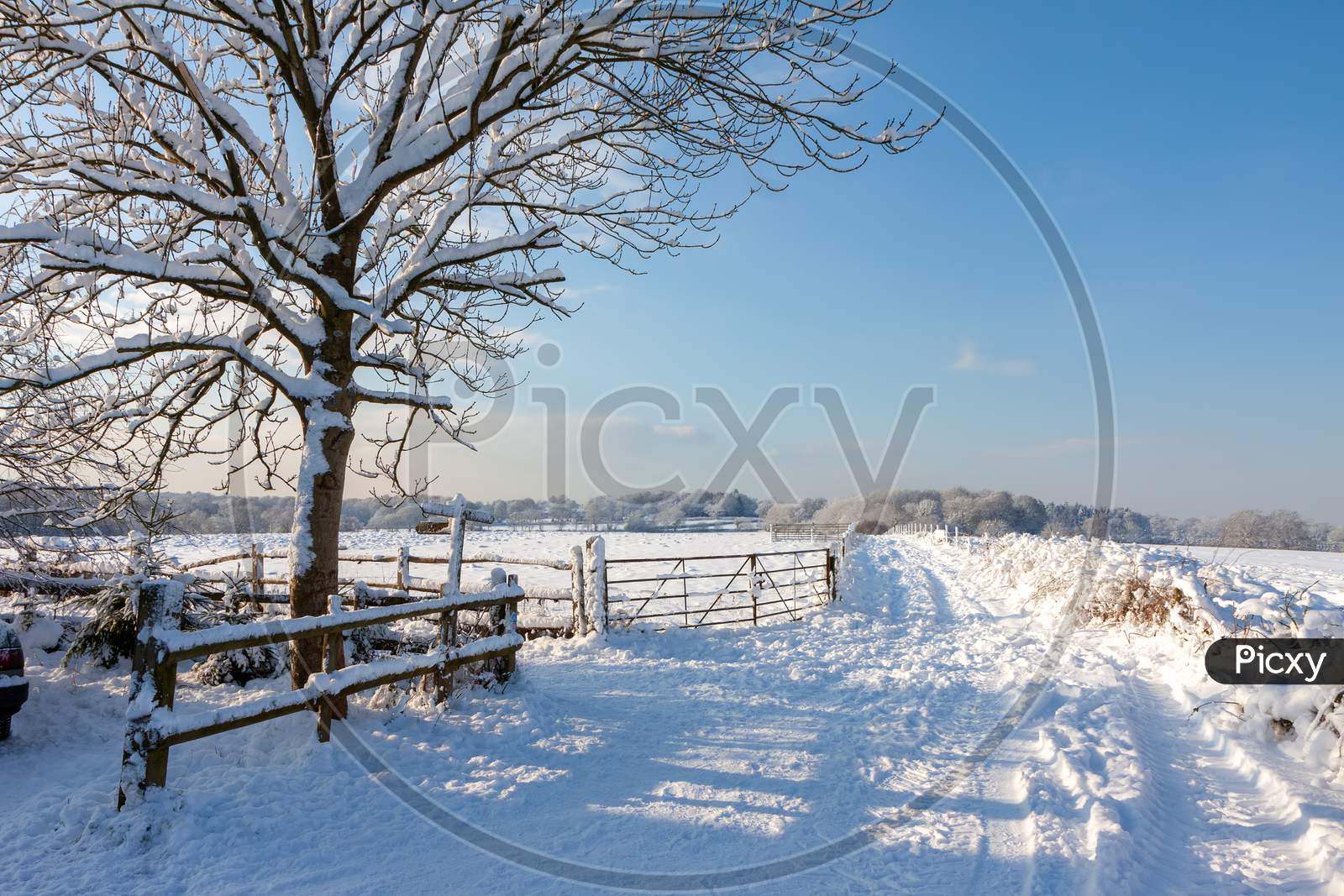 Winter Scene Near East Grinstead