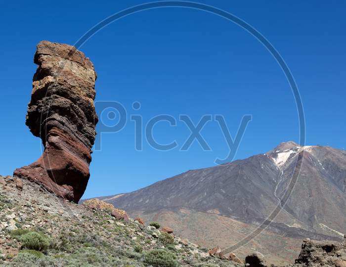 Mount Teide And The Tree