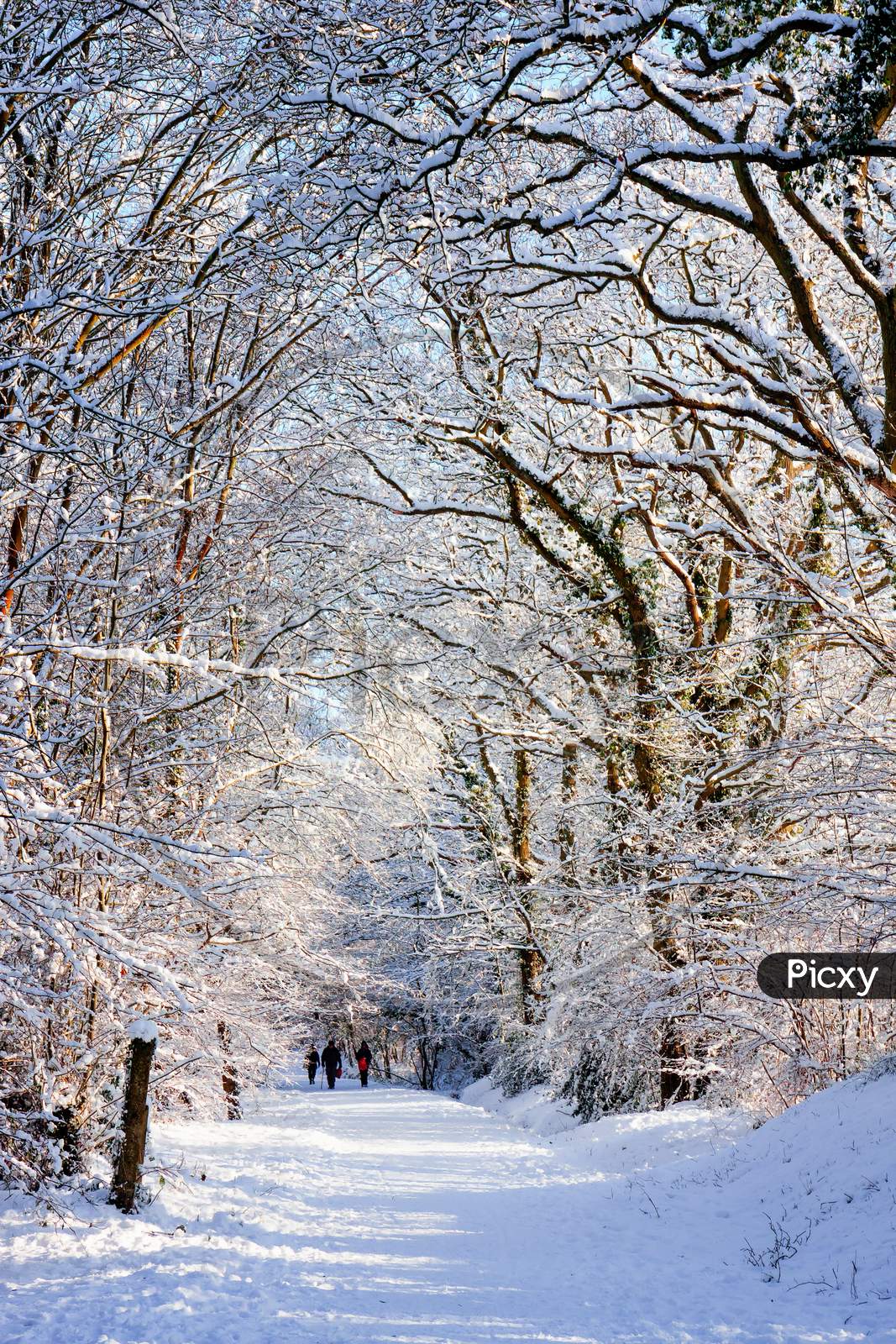 People Walking Along The Snow Covered Worth Way In East Grinstead