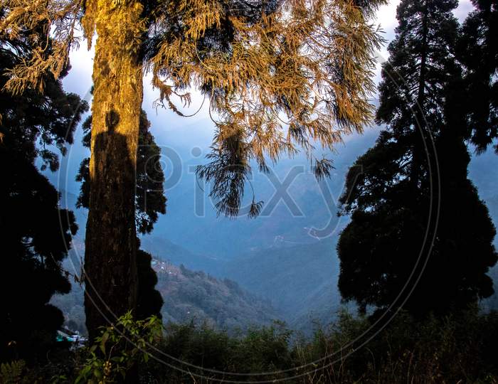 Darjeeling, India, Asia- January 01,2021: Warm morning sunrays in the Hills of Darjeeling in new year 2021