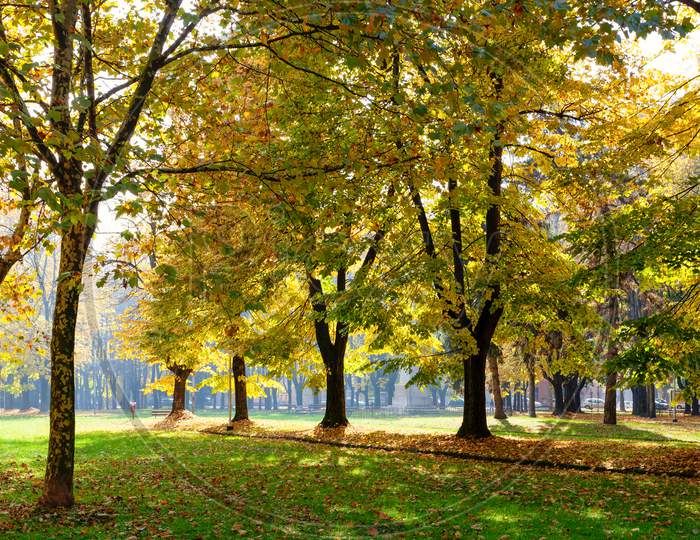 Autumn Colours In Parco Di Monza