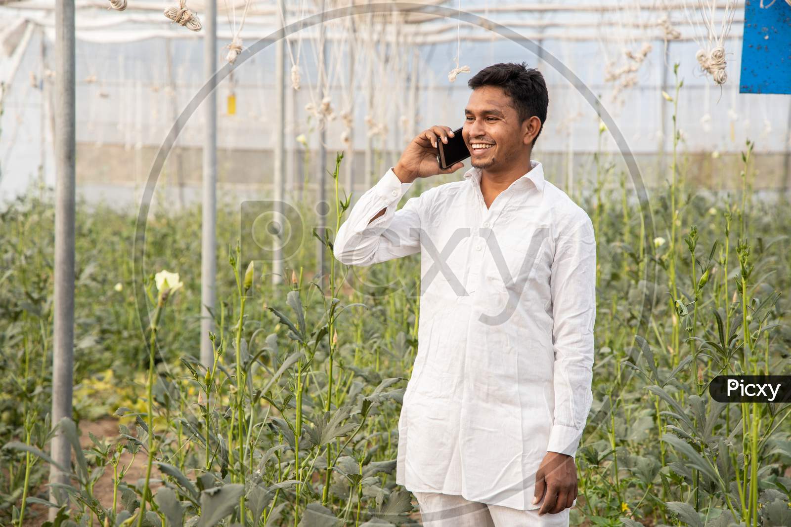 Happy Young Indian Farmer Talking On Smart Mobile Phone At Poly House Or Greenhouse Field, Agriculture And Technology Concept Copy Space