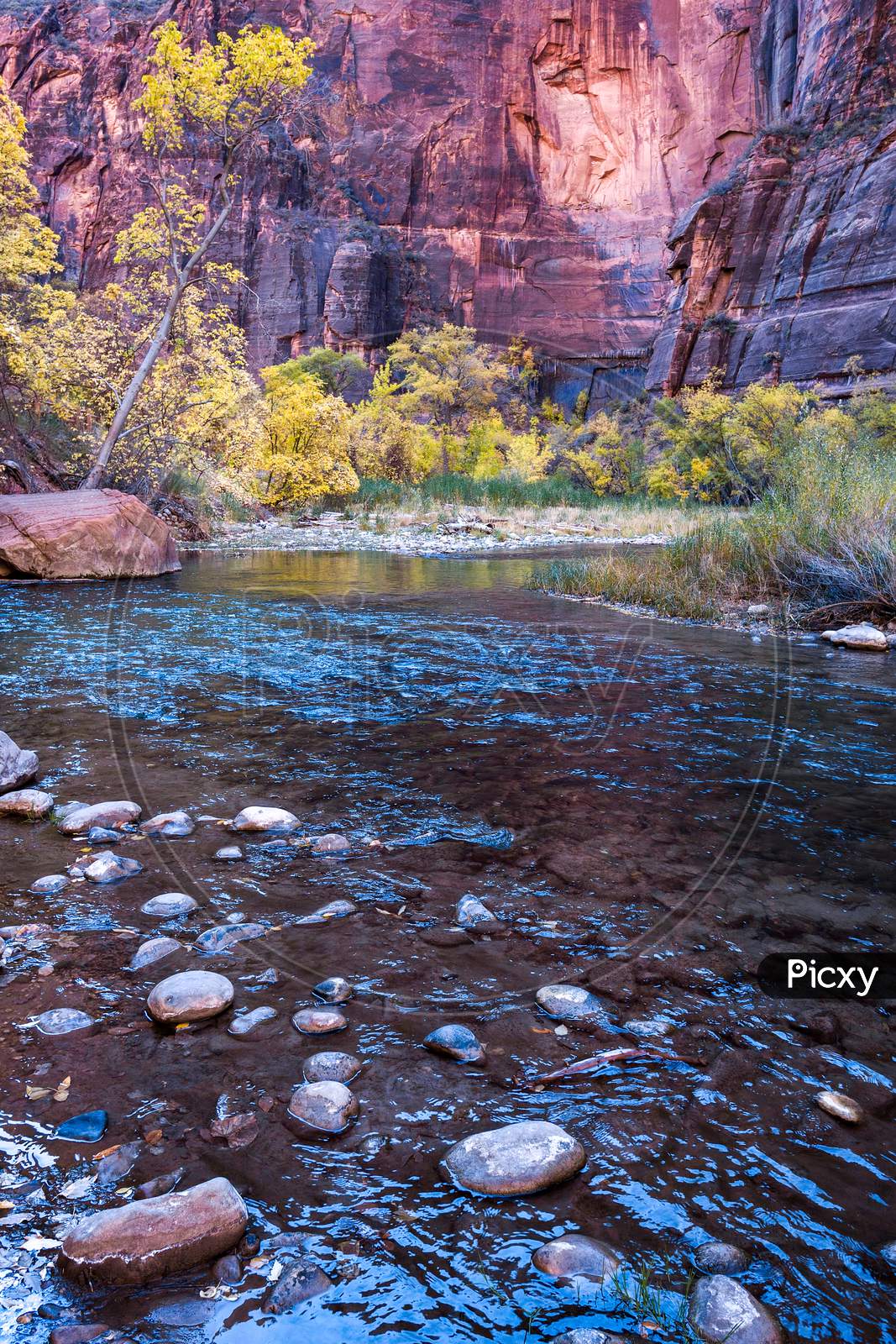 The Virgin River Lazily Winds It'S Way Through Zion National Park