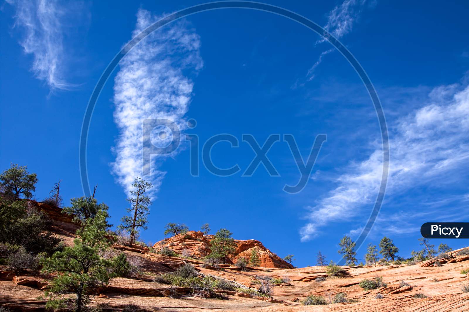 Vertical Cloudscape In Zion