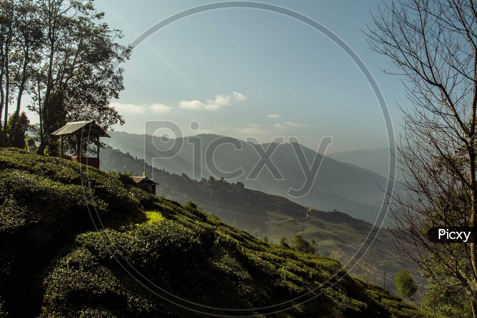 Darjeeling, India, Asia- January 01,2021: Warm morning sunrays in the Hills of Darjeeling in new year 2021