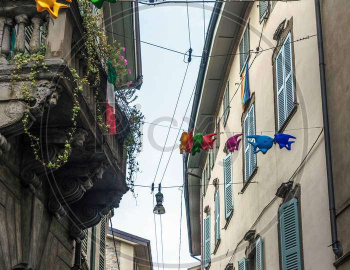 Flying Fish Across A Street In Citta Alta Bergamo