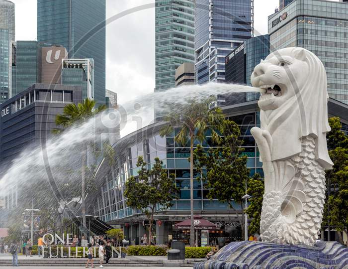 Merlion Fountain In Singapore