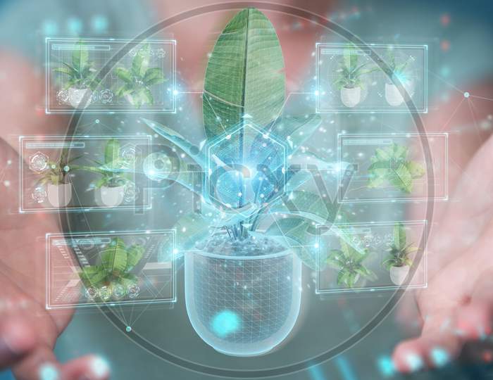 Woman Holding And Touching Holographic Projection Of A Plant With Digital Analysis 3D Rendering