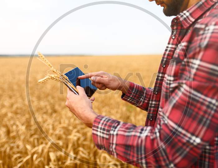 Smart Farming Using Modern Technologies In Agriculture. Man Agronomist Farmer With Digital Tablet Computer In Wheat Field Using Apps And Internet, Selective Focus