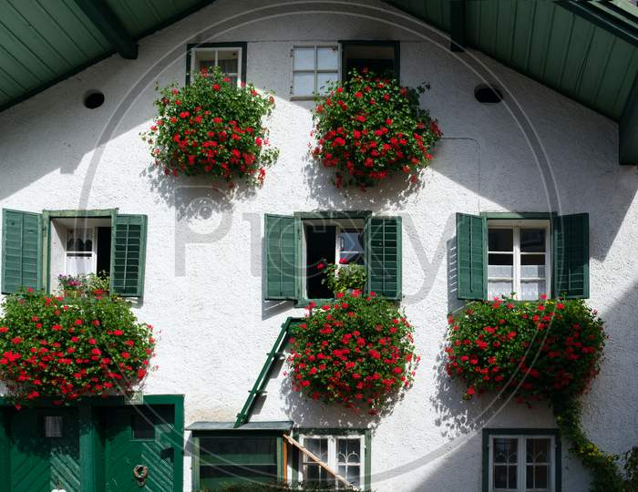 Red Geraniums Hanging From A House In St. Gilgen