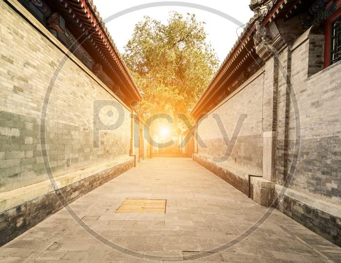 Traditional Alley In Beijing, China