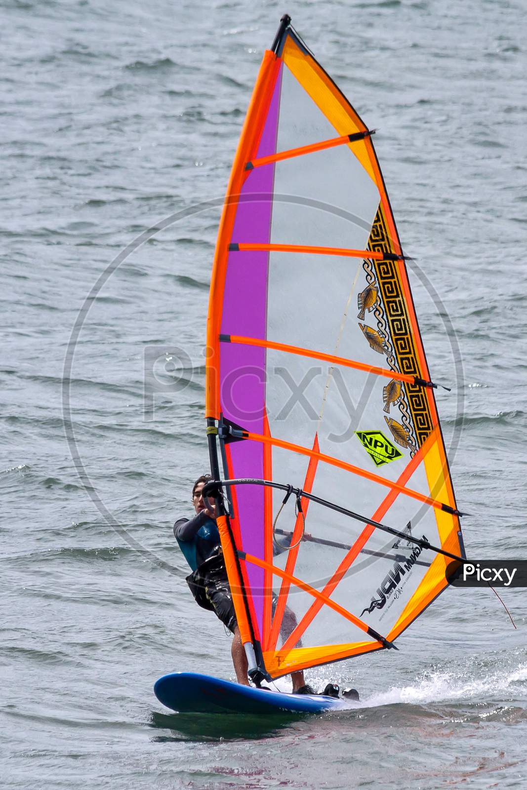 Windsurfer In Funchal Harbour Madeira