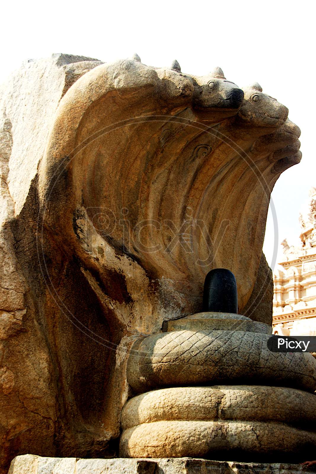 Statue Of Naga Lingeshwara, Lepakshi