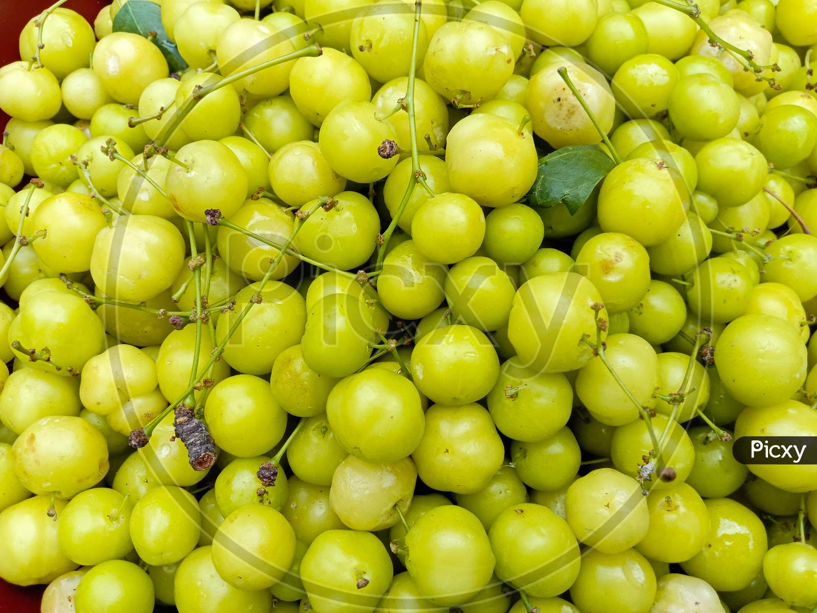 Tasty And Healthy Star Gooseberry Stock On Shop