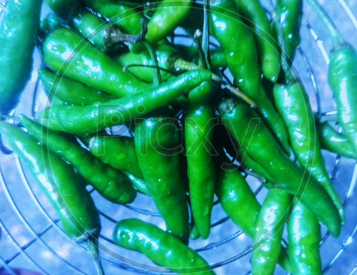 Green chillies of Indian breed kept in a basket.
