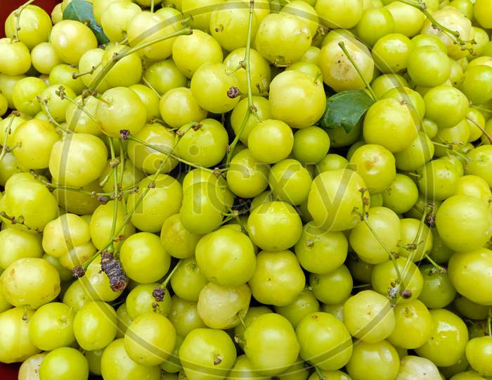 Tasty And Healthy Star Gooseberry Stock On Shop
