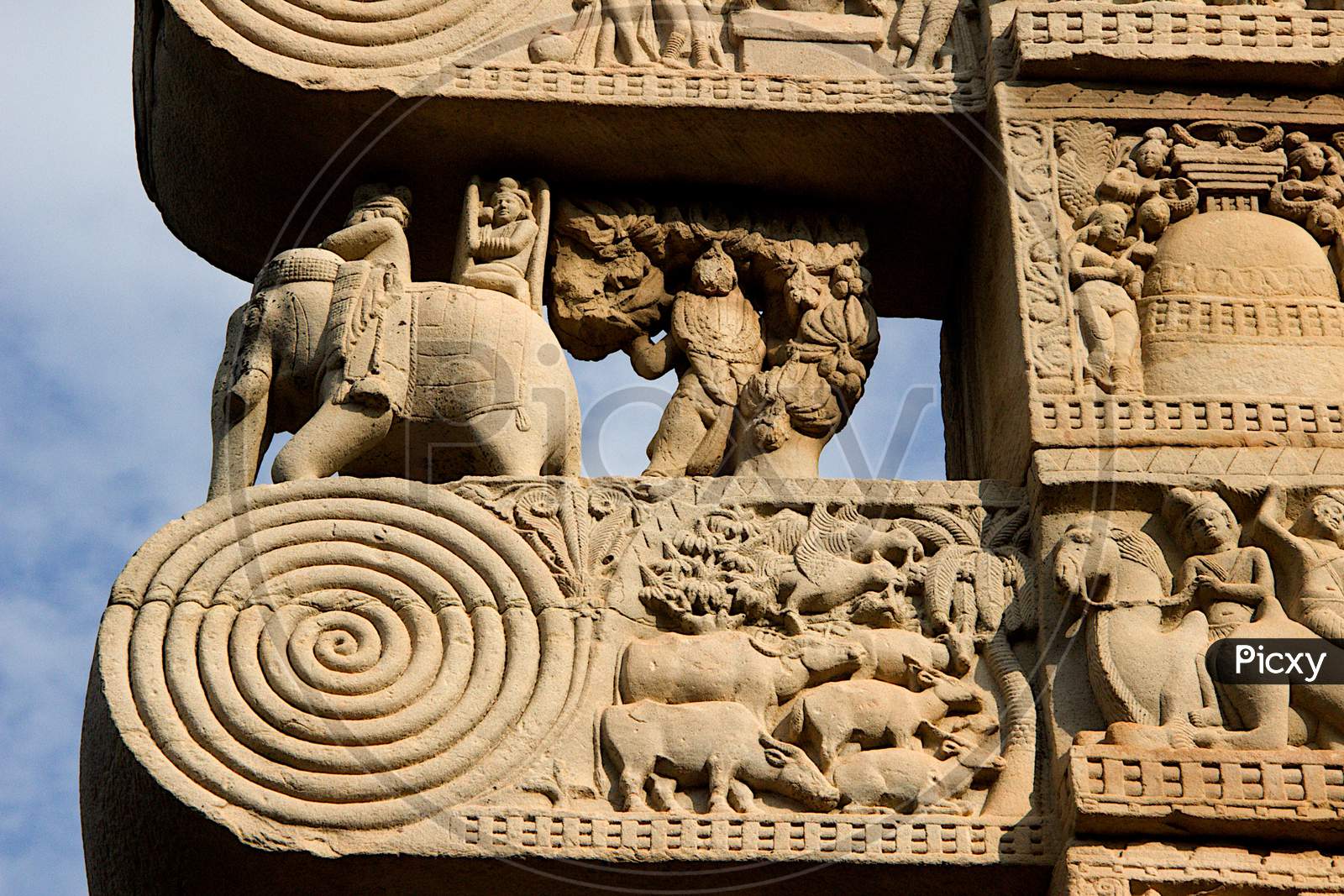 Stone Panel Detail At Sanchi