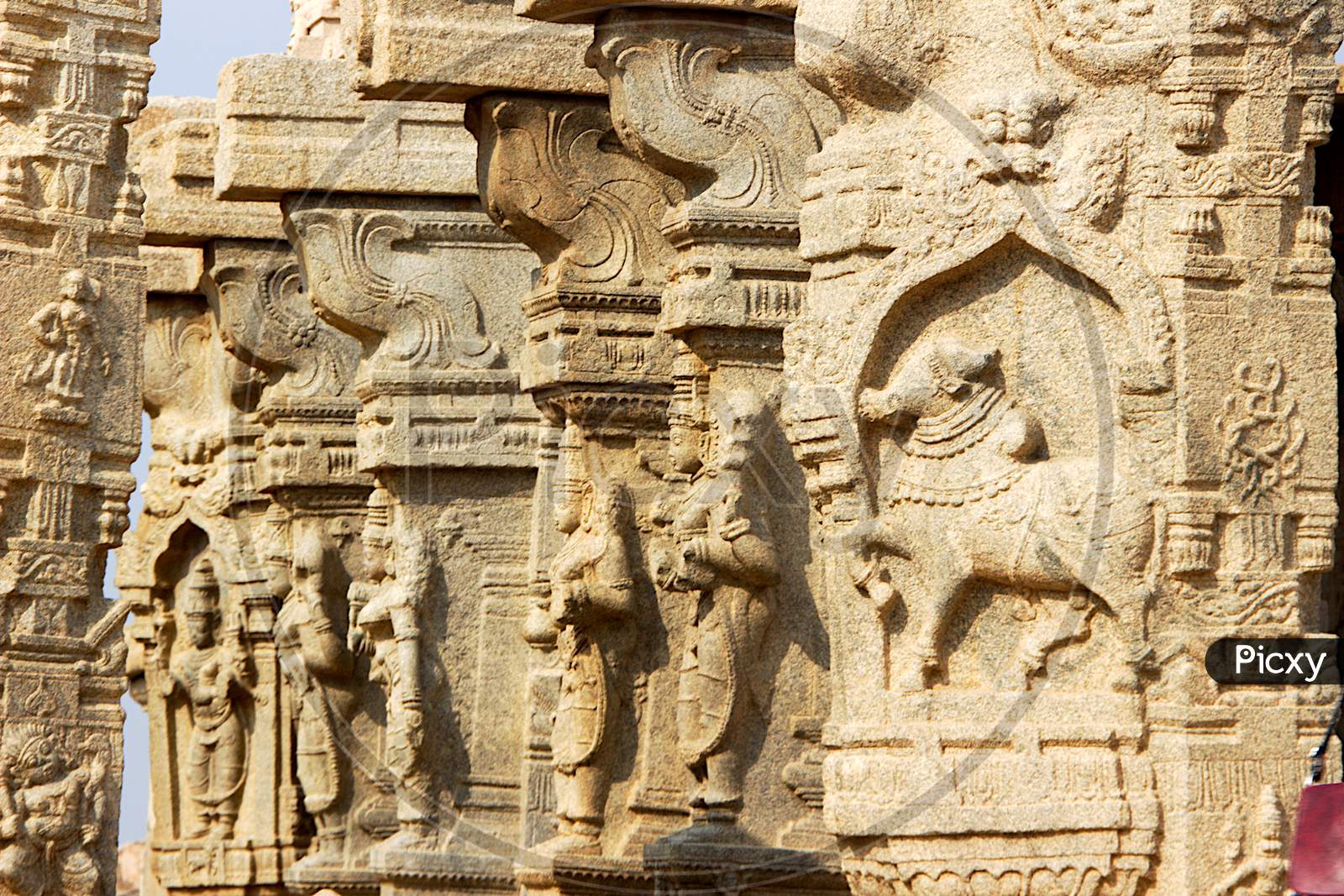 Pillar Carvings At Lepakshi